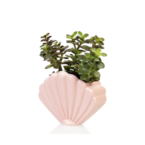 Bitten Schelp bloempot roze keramiek L